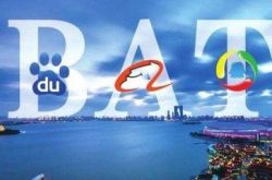 8分钟科普下!西双版纳傣族自治州人民政府公众信息网_哔哩哔哩-3